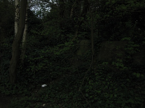 Untitled-3