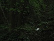 Untitled-1