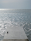 Untitled (Piran) - 10